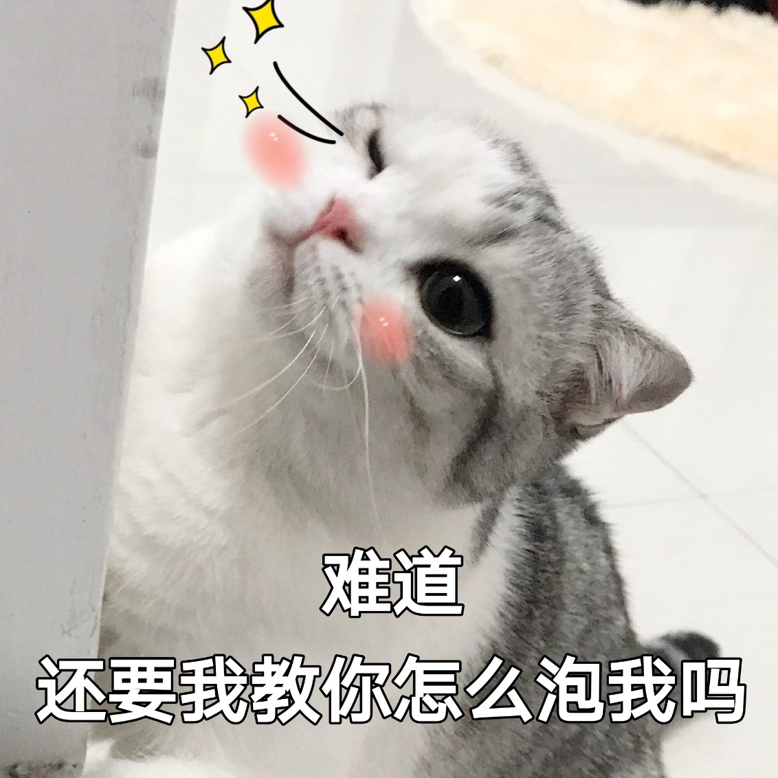 难道还要我教你怎么泡我吗 - 一只大眼萌猫表情包