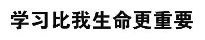 学习比我生命更重要 - 给你的胸胸打分（文字表情）