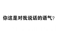 你这是对我说话的语气？ - 有什么事不能打一炮再说？ 【纯文字表情】