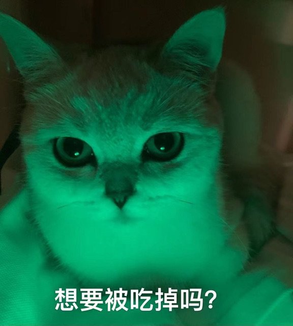 想要被吃掉吗?(猫猫表情包)