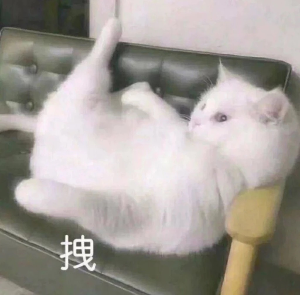 拽（猫咪翘腿）