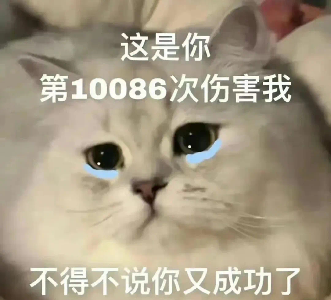 这是你第10086次伤害我不得不说你又成功了 - 猫咪哭泣流泪猫猫头表情包 ​