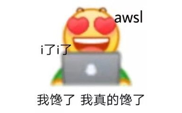 aws i了i了我馋了我真的馋了