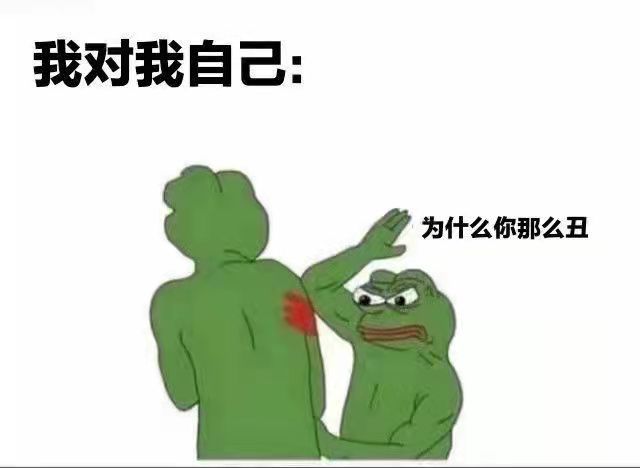 我对我自己为什么你那么丑