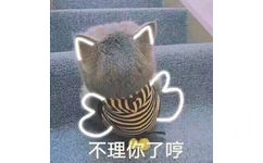 不理你了哼(猫咪)