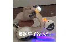 要翻车了家人们(鼠鼠表情包)