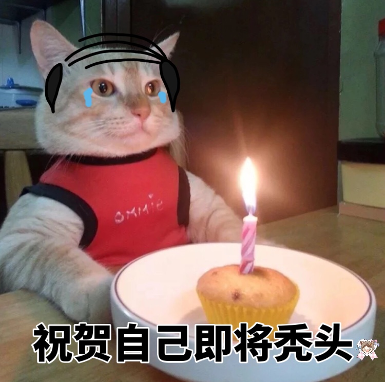 祝贺自己即将秃头 - 猫咪独自过生日系列