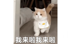 我来啦我来啦(猫猫表情包)