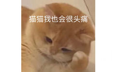 猫猫我也会很头痛