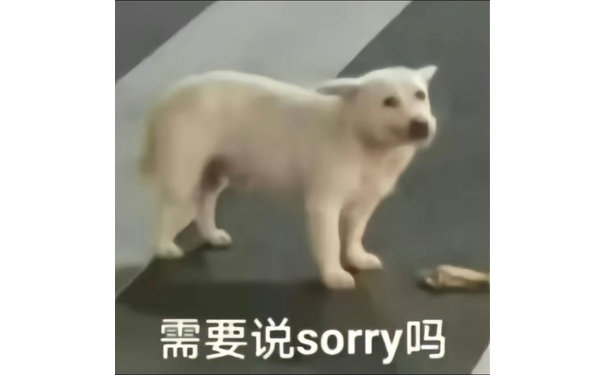 需要说sorryl吗