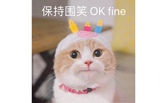 保持围笑 OK fine