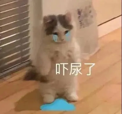 吓尿了(猫咪表情包)