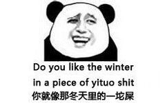 你就像冬天里的一坨屎 Do you like the winter in a piece of yituo shit - 整条街的智商都被你们拉低了（熊猫金馆长中英对照）