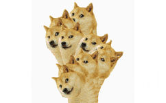 转来转去的神烦狗（doge）