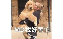 MD 我好害怕