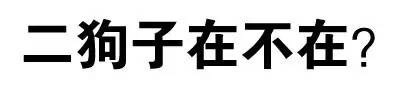 二狗子在不在？ - 老污龟（纯文字表情）