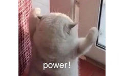 power !(猫猫力量表情包)