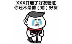 XXX开启了好友验证你还不是他(她)好友 - 哪句话会让你感到孤独？ ​