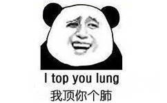 我顶你个肺（i top ypu lung）