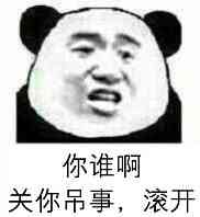 你谁啊，关人吊事，滚开！（熊猫人张学友）