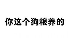 你这个狗粮养的 - 斗图骂人纯文字表情