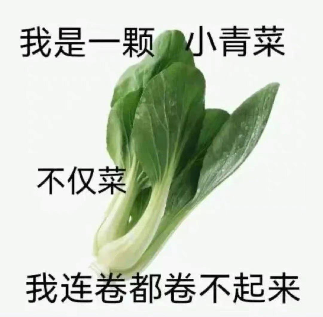 我是一颗小青菜不仅菜我连卷都卷不起来