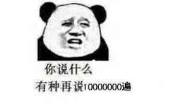 你说什么？有种再说100000000遍