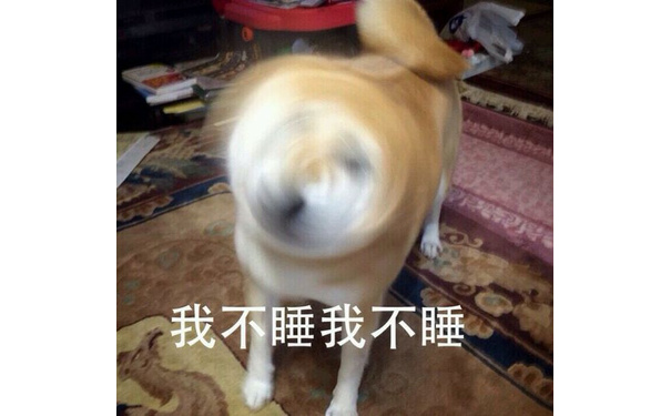 我不睡，我不睡 - doge的内心独白