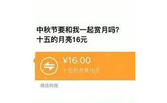 中秋节要和我一起赏月吗?十五的月亮16元￥16.00十五的月亮16元微信转账