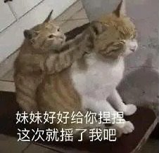 妹妹好好给你捏捏这次就摇了我吧(猫猫表情包)