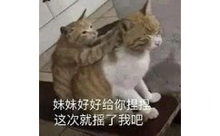 妹妹好好给你捏捏这次就摇了我吧(猫猫表情包)