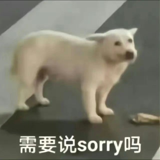 需要说sorry吗(狗狗表情包)