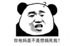 你他妈是不是想搞死我？（熊猫头）