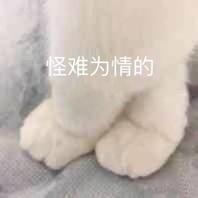 怪难为情的（猫爪）