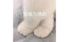 怪难为情的（猫爪）