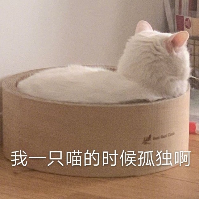 我一只喵的时候孤独啊（猫咪表情包）