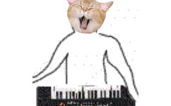 猫咪弹钢琴 - 猫咪演奏乐器沙雕动图