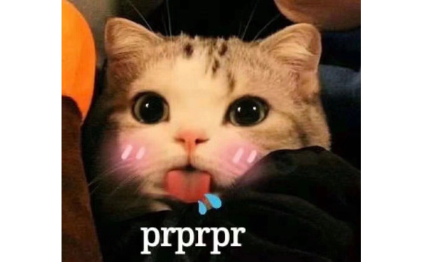 猫咪 prprpr