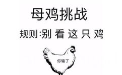 母鸡挑战规则：别看这只鸡你输了 - 一些meme梗图表情包