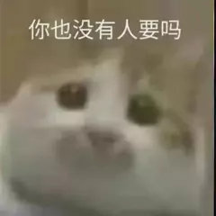 你也没有人要吗(猫咪表情包)