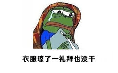 衣服晾了一礼拜也没干 - 我爱下雨天，真的！