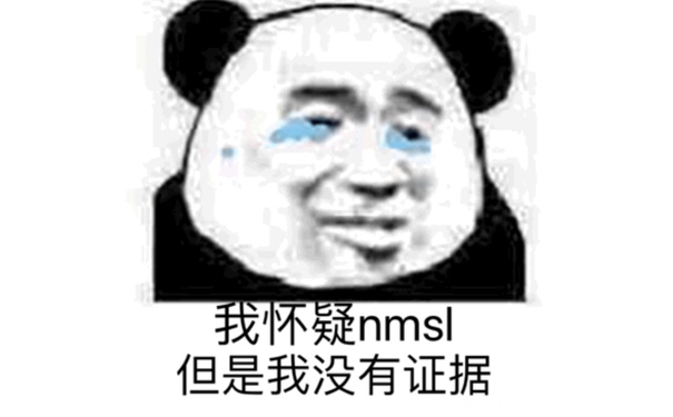 我怀疑 nmsl 但是我没有证据（熊猫头）