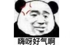 嗨呀好气啊(熊猫头)