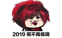 2019哥不再调(杀马特葬爱家族表情包)