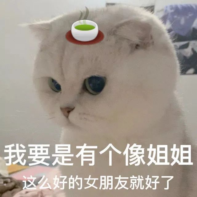 我要是有个像姐姐这么好的女朋友就好了