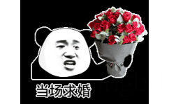当场求婚 - 熊猫头求婚表情包系列