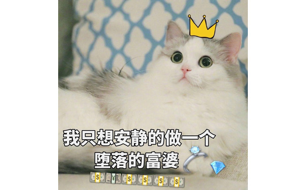 我只想安静的做一个堕落的富婆 - 一组萌萌的小猫咪表情包