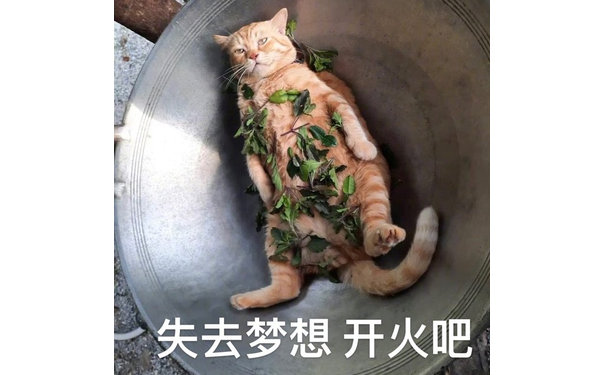 失去梦想开火吧