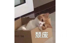 颓废猫咪