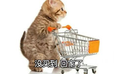 没买到回家了(猫猫手推车表情包)